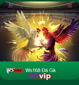 6ffvip