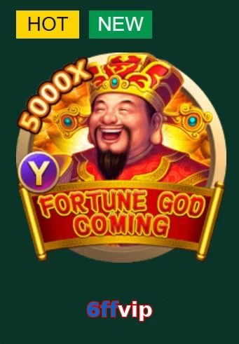 6ffvip